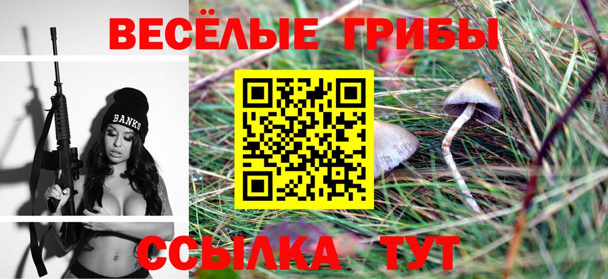 Псилоцибиновые грибы GOLDEN TEACHER  Галлюциногенные грибы прущие грибы  Ступино  Вход с VPN 